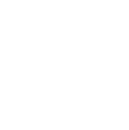 Icon- Election Results