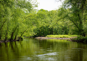 Pompton Aquatic Park