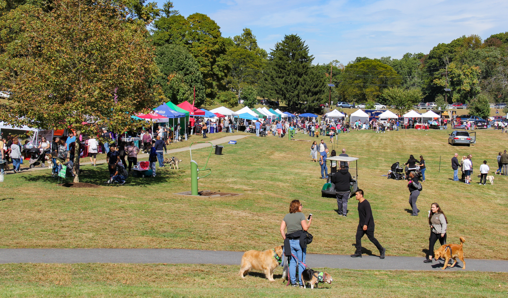 Paws in the Park 2019