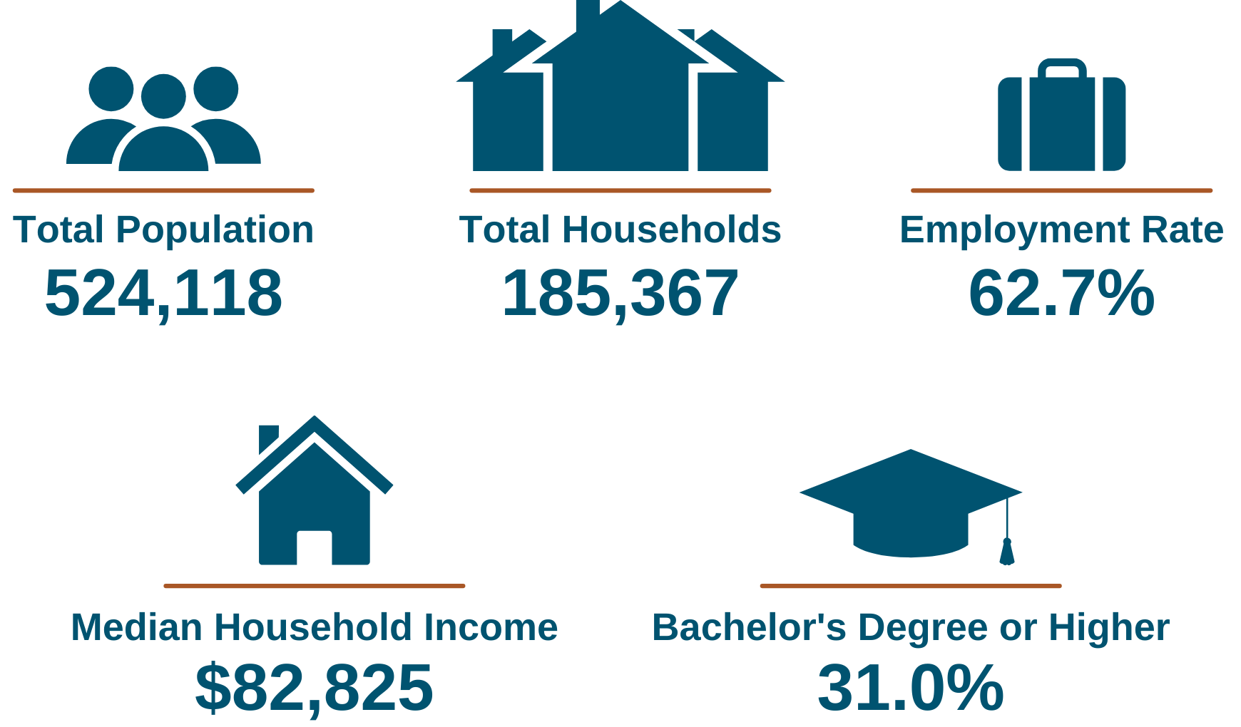 Census Data 2020