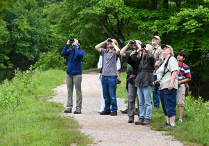 Birdwatching