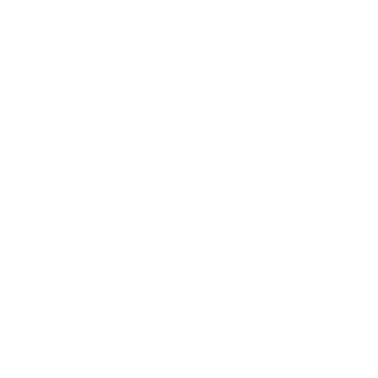 2024 General Election