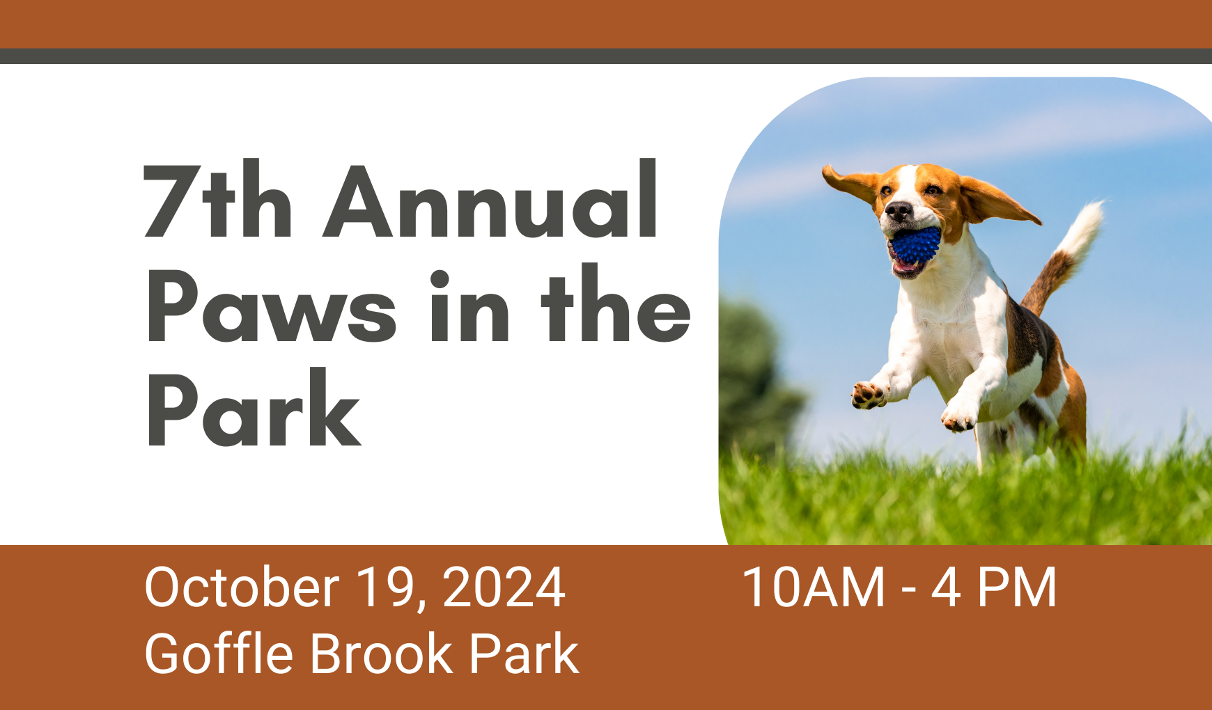 Paws in the Park