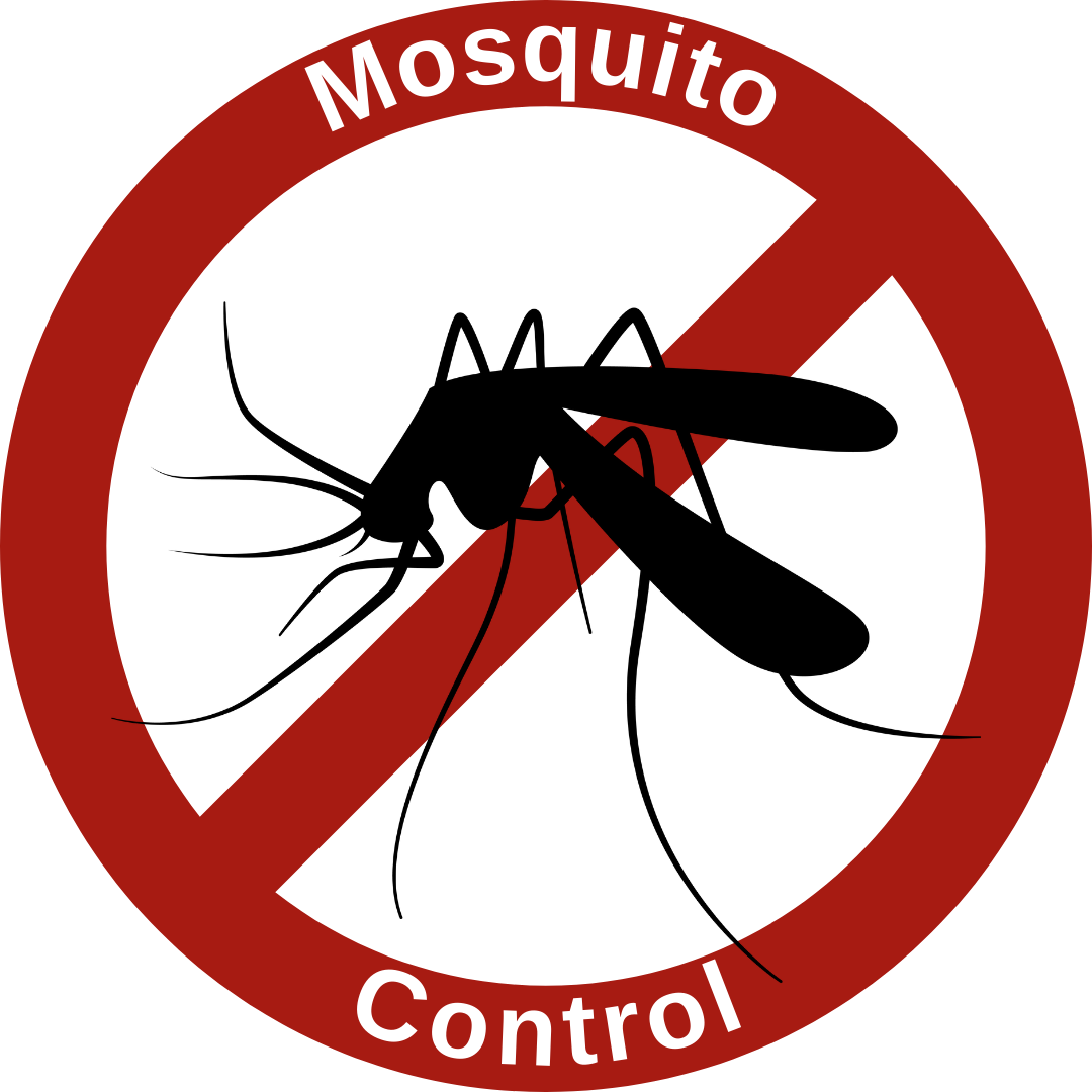 mosquito