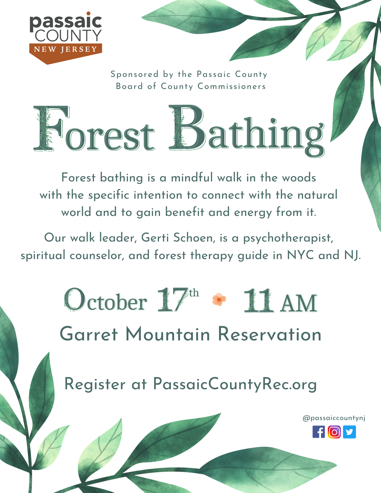 Forest Bathing, October 17