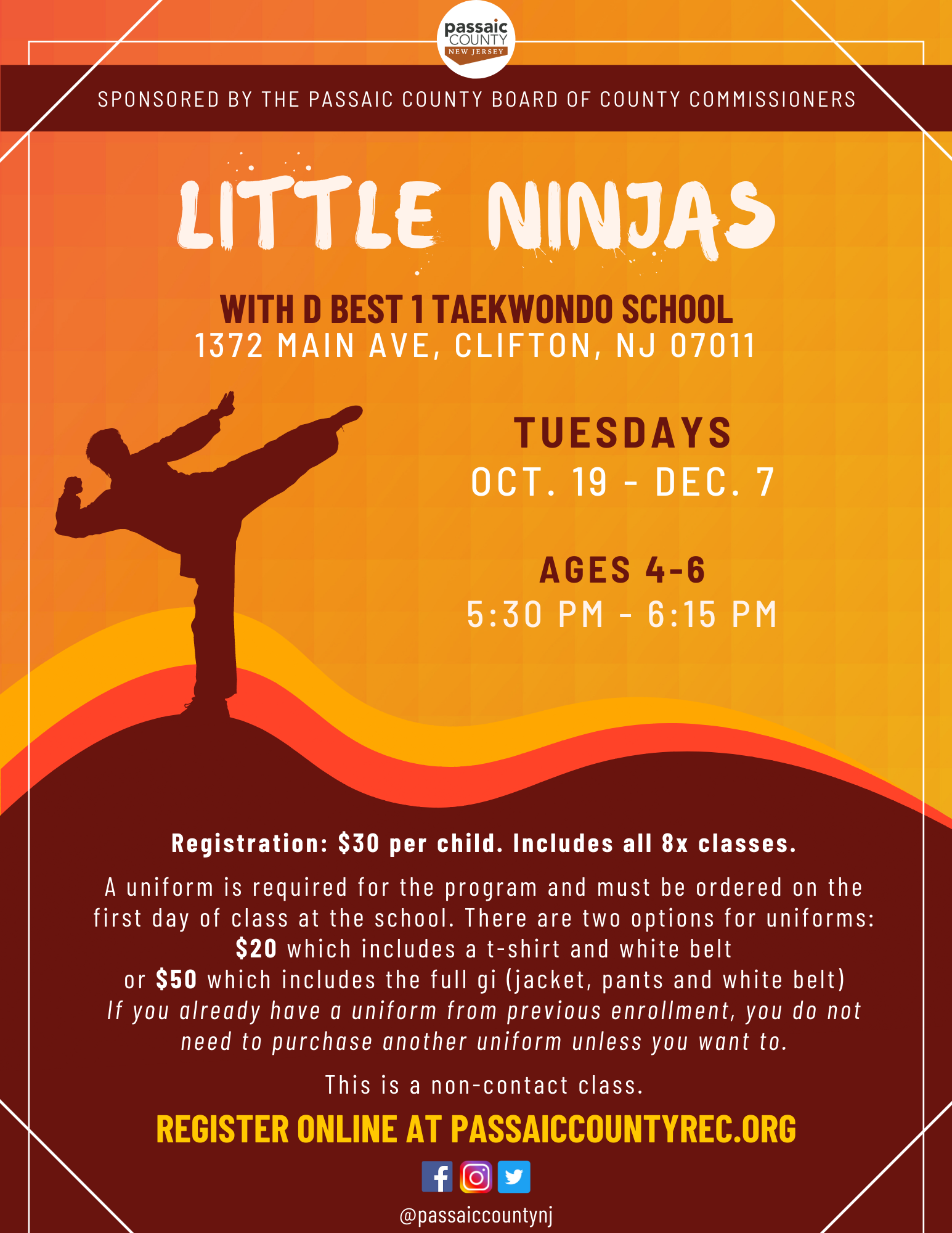 Taekwondo flyer